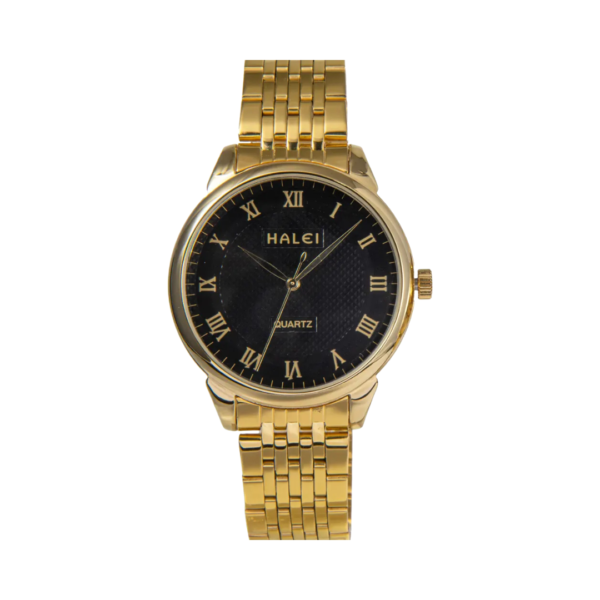 Men's Wrist Watch Halei 492.