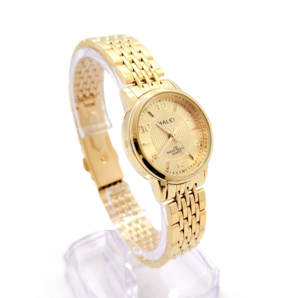 Men’s Wrist Watch Haei 484